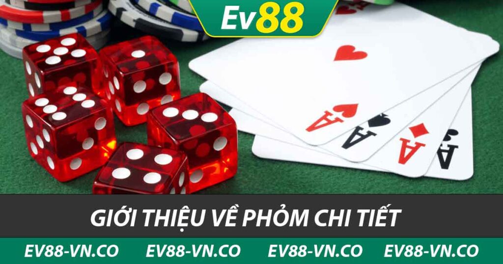 giới thiệu về phỏm chi tiết