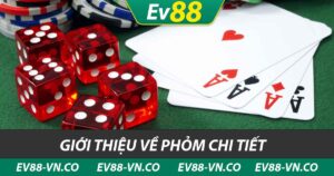 giới thiệu về phỏm chi tiết