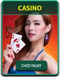 Live Casino