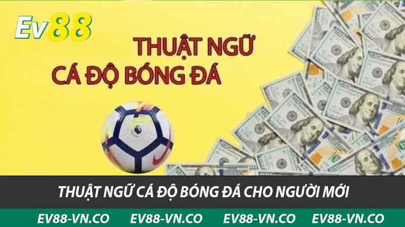 thuật ngữ cá độ bóng đá cho người mới