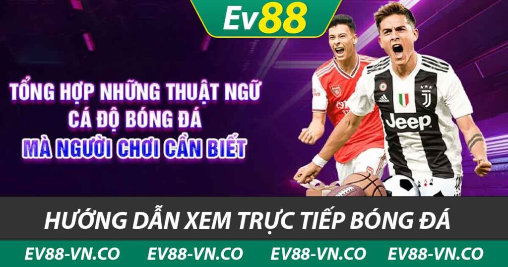 thuật ngữ trong cá độ bóng đá